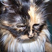 Colleen Biskey's photo