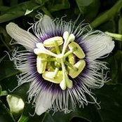 Foto von Nancy Adkins