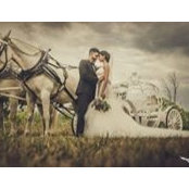 Durgy Spade's photo