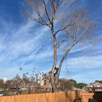 Tree Trimming and Weight Reduction