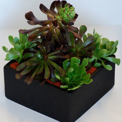 Planted decor - Home Decor