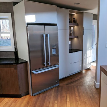 Midcentury Modern Kitchen in Carlisle, PA
