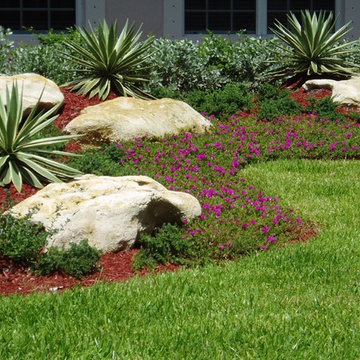 South Florida landscaping