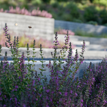 sebastopol hillside home