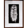 "Large Charcoal Feather I Drawing, Original, Drawing"
