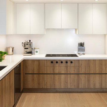 Haversley Project