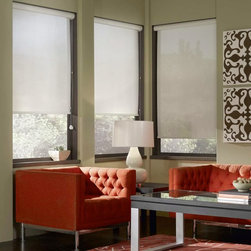 BlindSaver Commercial Phifer Sheerweave Solar Screens - Cellular Shades
