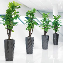 Modern Planter - Products