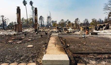 Northern California Fires: How You Can Help