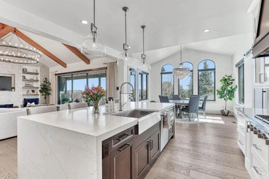 Kitchen - transitional kitchen idea in Denver