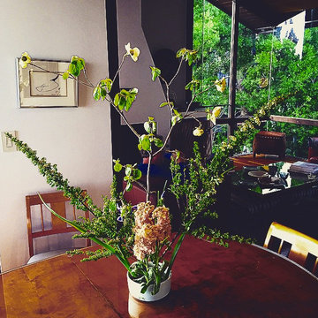 Laguna Beach Ikebana