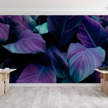 Dream Leaves