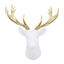 Wall Accessories