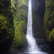 Carrie Cook's photo