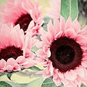 Lucy Krut's photo
