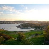 Brian Fiorentino's photo