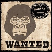 MonkeyLongboards Proprietario's photo