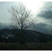 Huda Clarke's photo