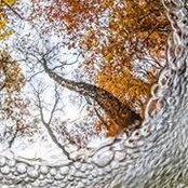 Mark Rees's photo