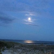 Gloria DeVerna's photo
