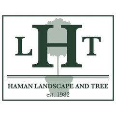 Haman Landscape and Tree