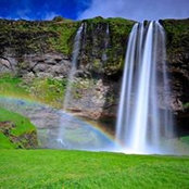 Lee Weiss's photo