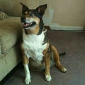 Edward Dorsey's photo