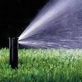 American Yard Service & Irrigation's profile photo