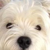 Barbara Rossell's photo