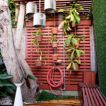 The Horticult Garden