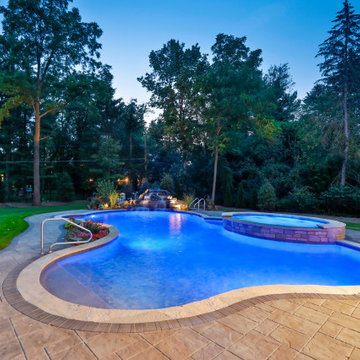 Naperville, IL Freeform Swimming Pool with Raised Hot Tub