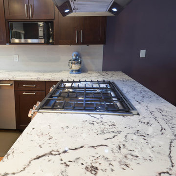 San Jose Full home renovation