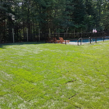 Backyard Makeover Installing Sod, Privacy Hedge, Flower Garden, Gravel Driveway