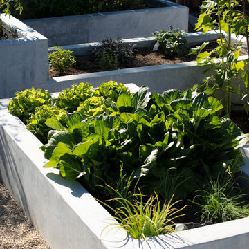 The Escher-Stella Garden