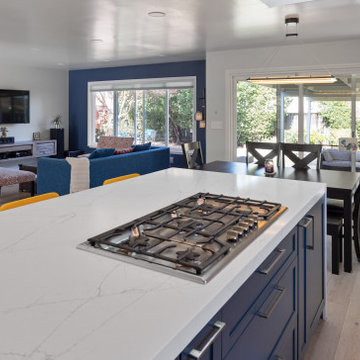 interior Remodel, Cambrian Area