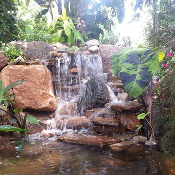 Water Features and Ponds