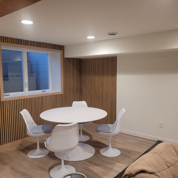 Roseville Mid Century Basement