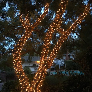 Tree Wrapping - Light Strings