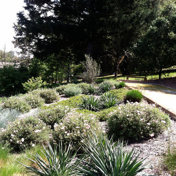 Healdsburg Country Home