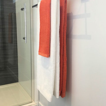 Master Ensuite Reno