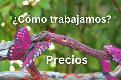 ¿Cómo trabajamos? | Precios