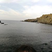 Sandra Ribes's photo