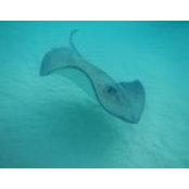 Beth Ford's photo
