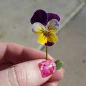 Elisha Webb's photo