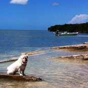 Stephen Fernandez's photo