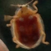 Foto von Hugo Adams