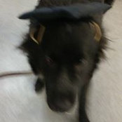 Heather Shull's photo