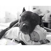 Foto de Heather Tolson