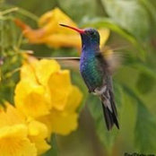 Patti Hanza's photo