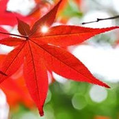 Jackie Cothron's photo